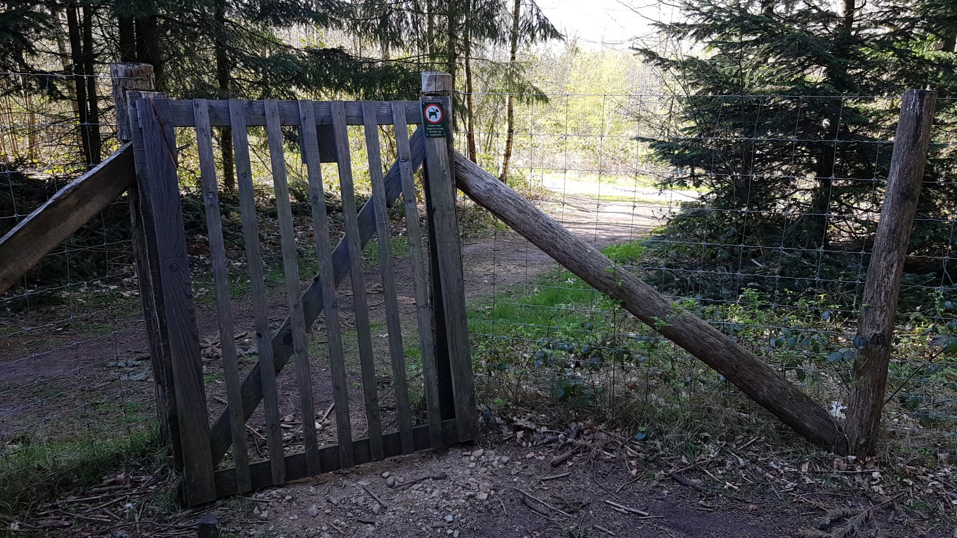 Oslo med hund: hundeparker, Marka og det kommunen faktisk merker